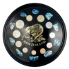 Bar Tray Gold Foil Kiwi Paua Pieces With REAL Coins x11